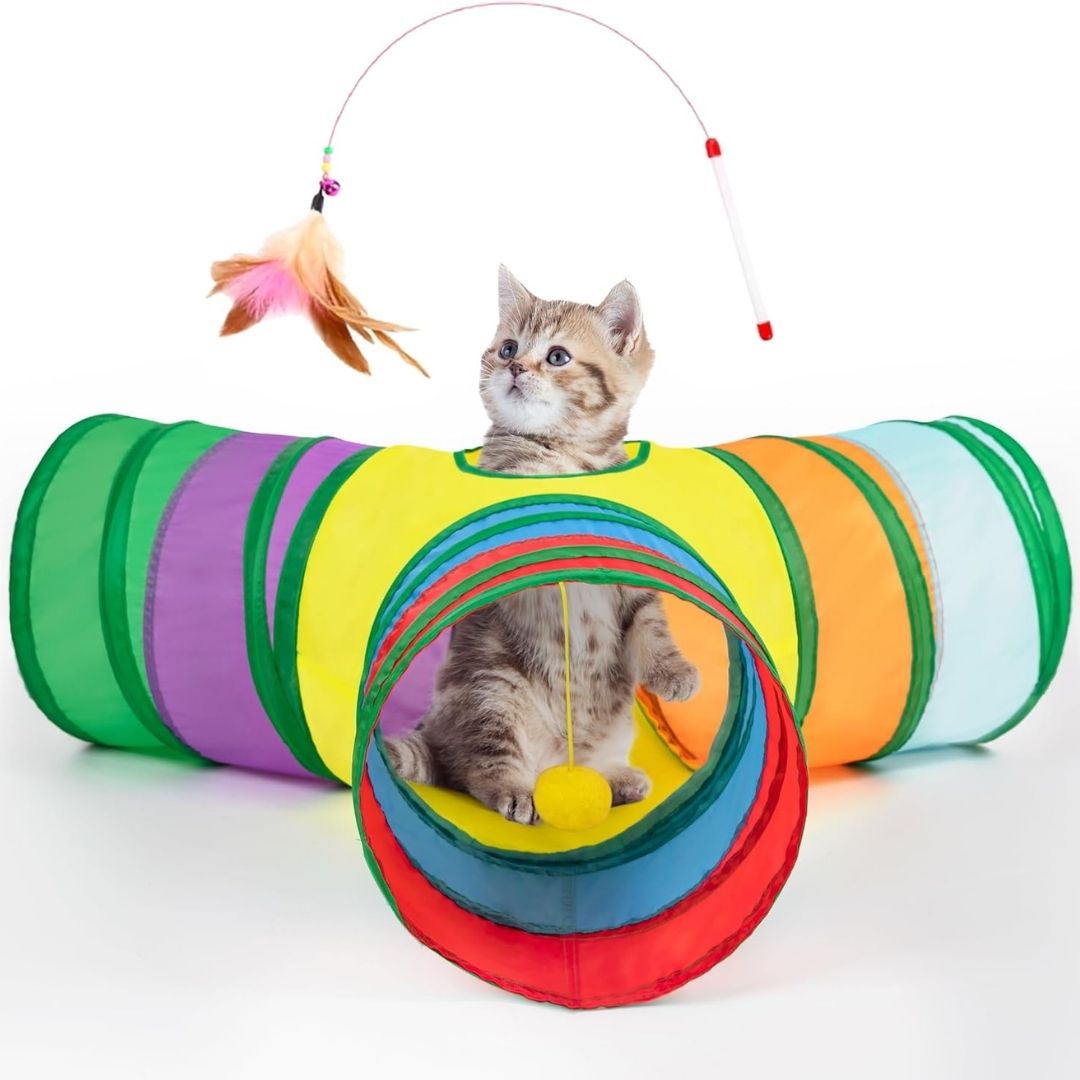 Uzbionik Kedi Tüneli